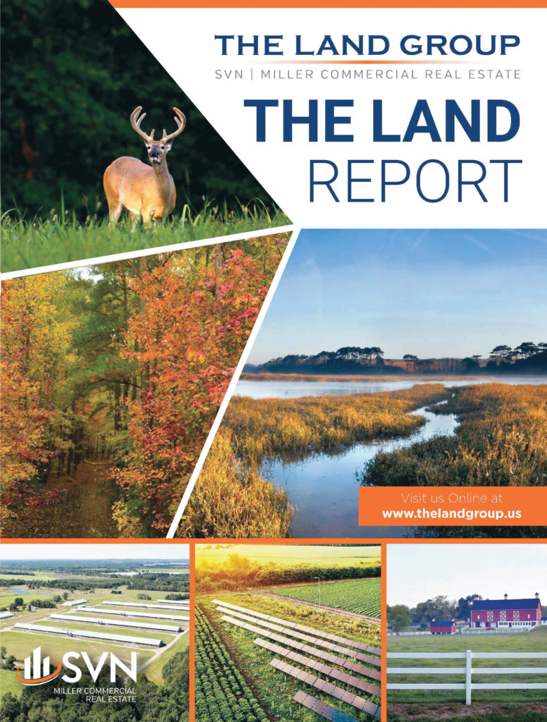 The Land Group - The Land Report 2019