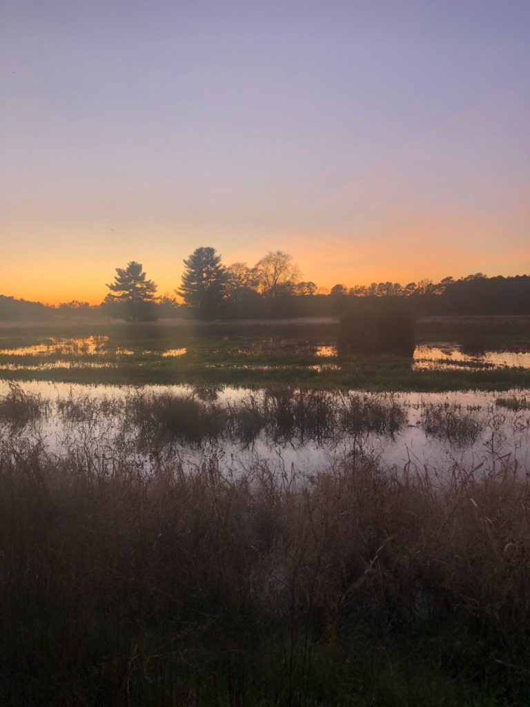 the sun is setting over a marshy area