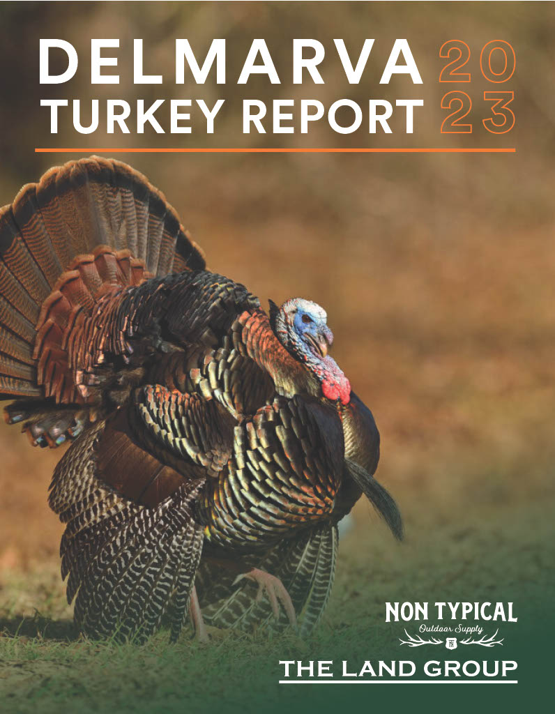 2023 turkey report front cover