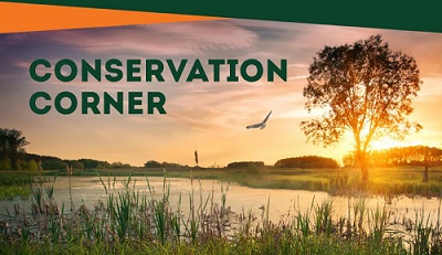 Conservation Corner graphic