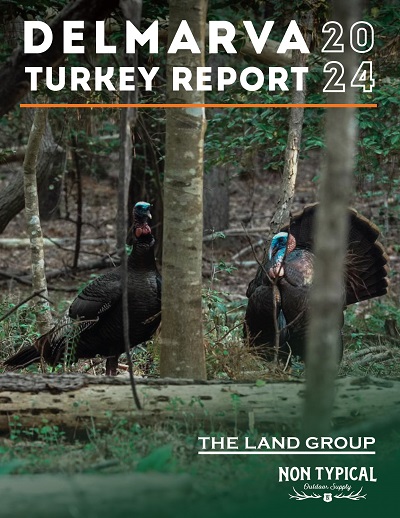 turkey report cover