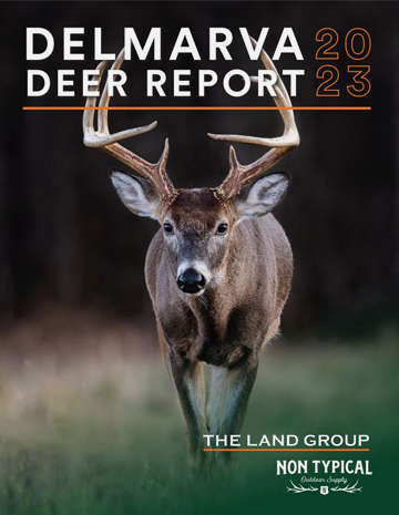 the cover of the delaware deer report 2013