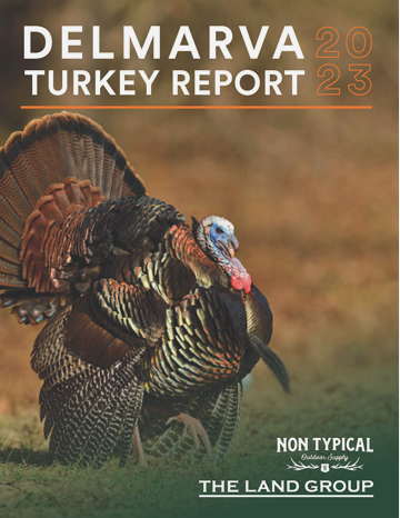 a picture of a turkey in the grass