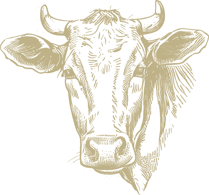 a drawing of a cow's head on a black background