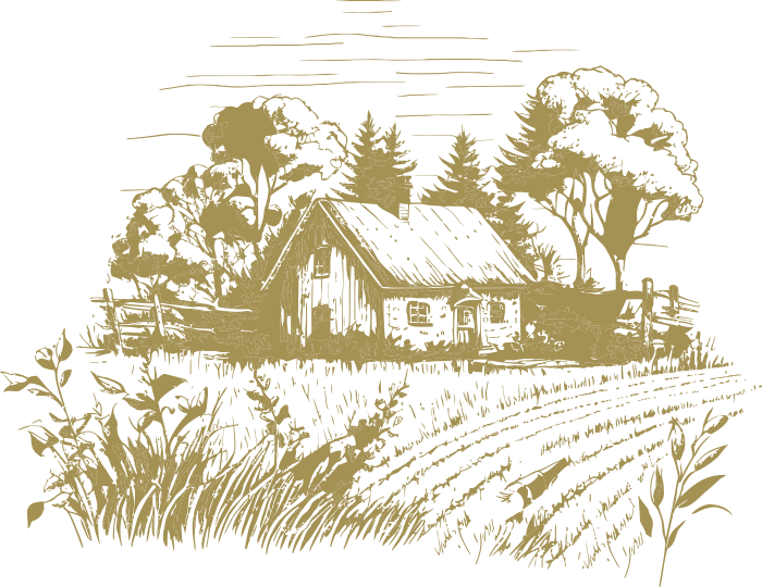 a drawing of a farm house in the middle of a field