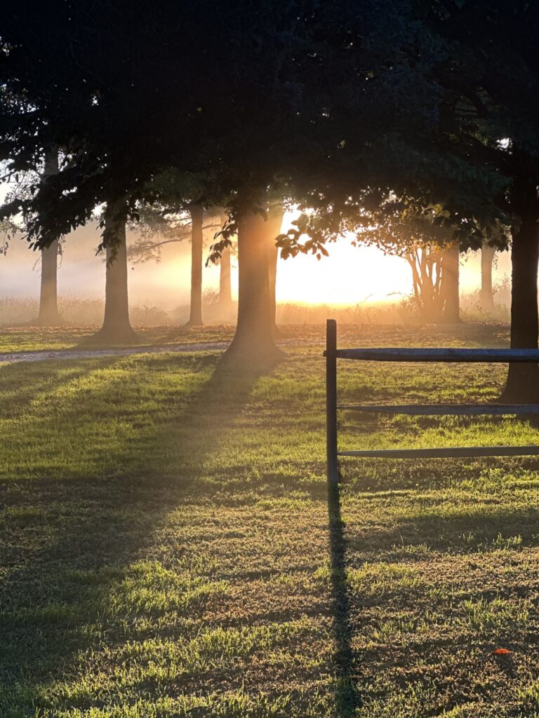 a field with a fence and trees in the background