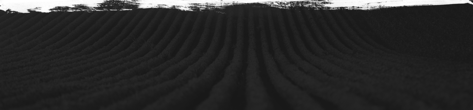 a black and white photo of a sand dune
