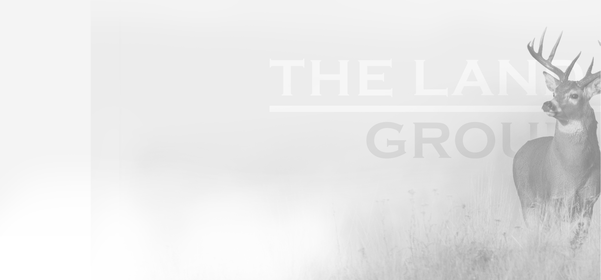 a black and white photo of a deer in the fog