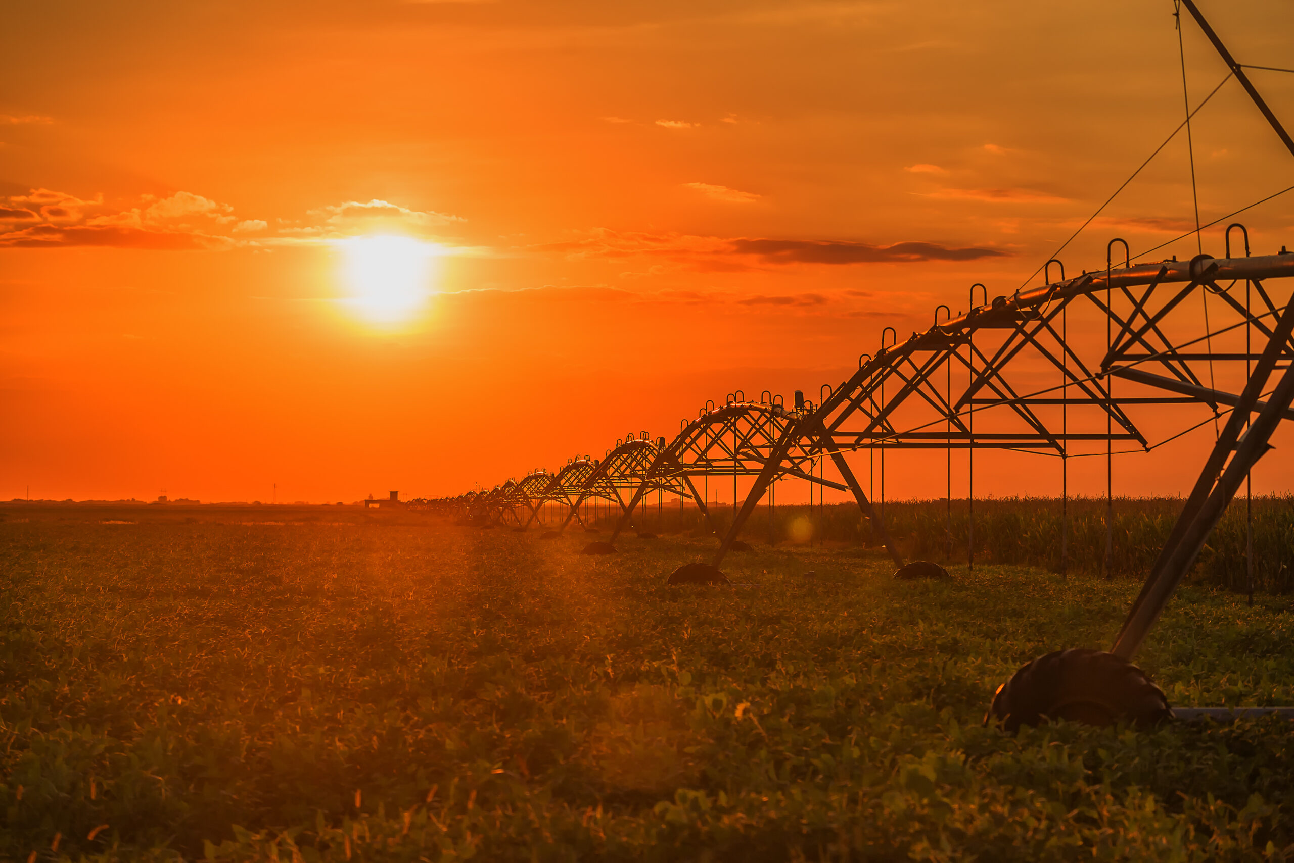 the sun is setting over a field of crops