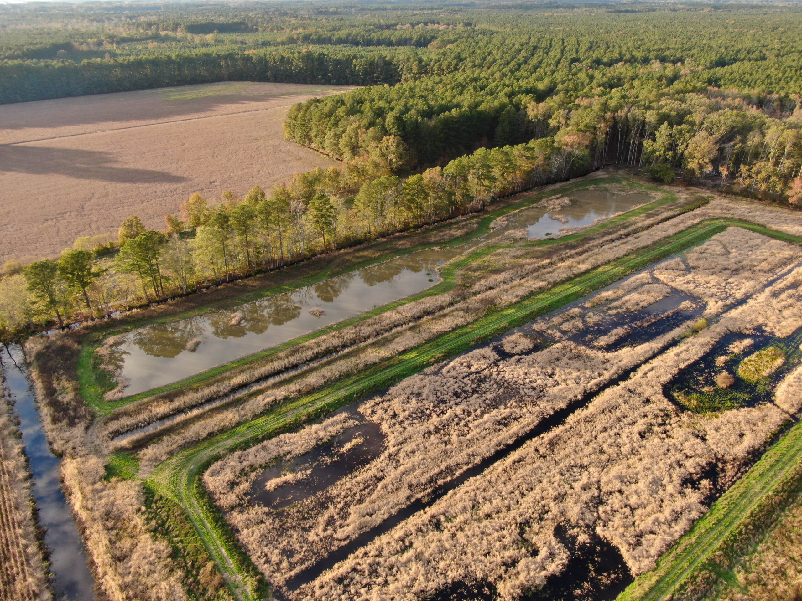 an aerial view of a large field with trees in the background