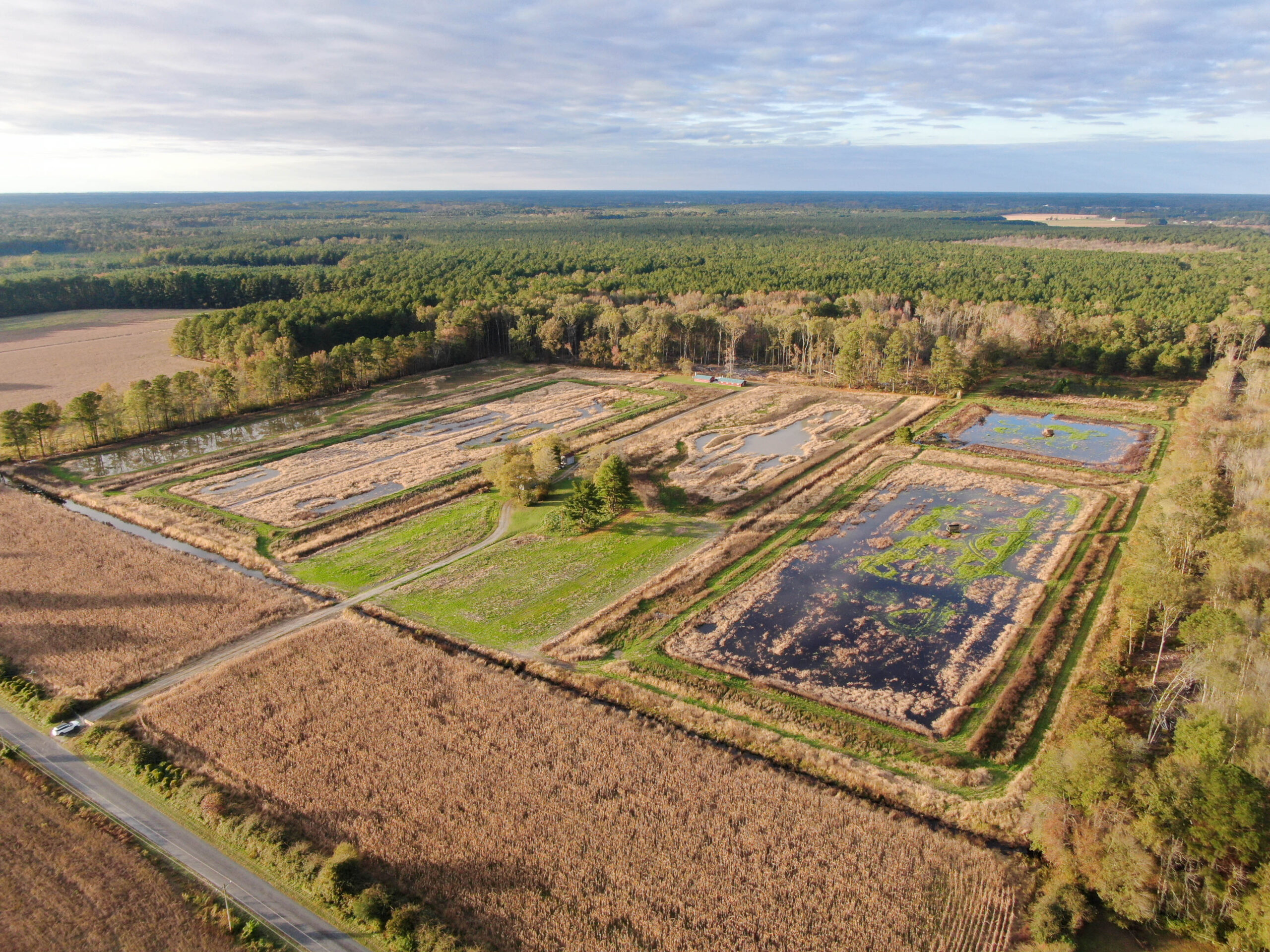 an aerial view of a farm with a lot of trees
