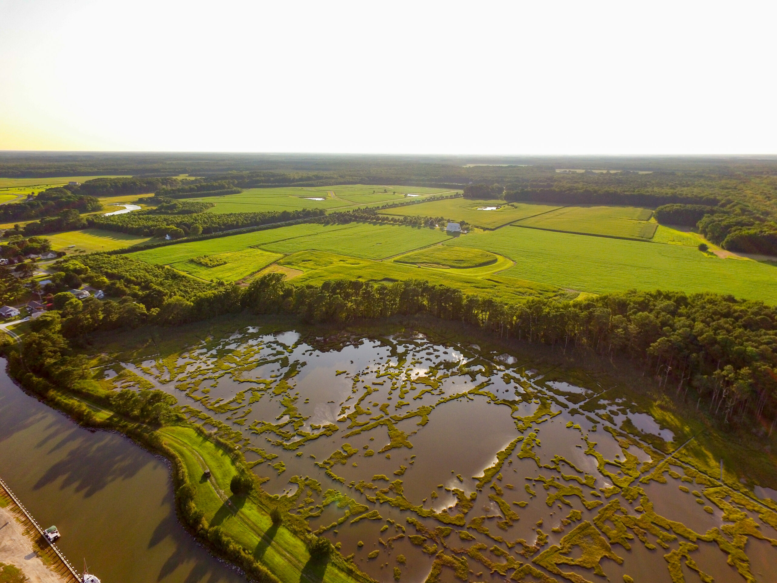 a large body of water surrounded by lush green fields