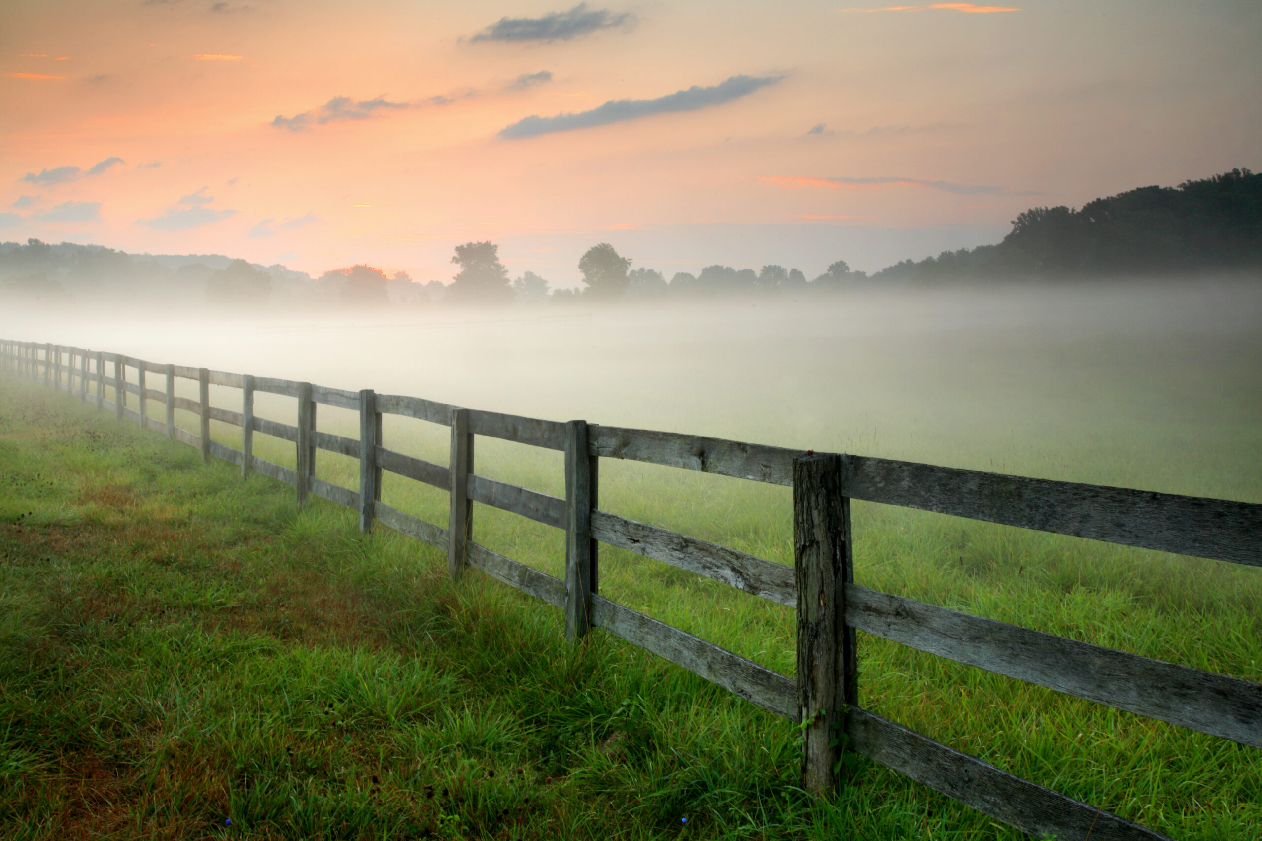 a foggy field with a fence in the foreground