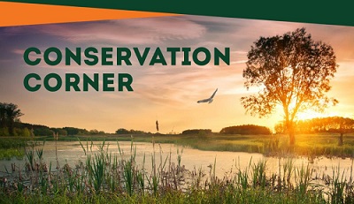 a picture of a lake with the words conservation corner