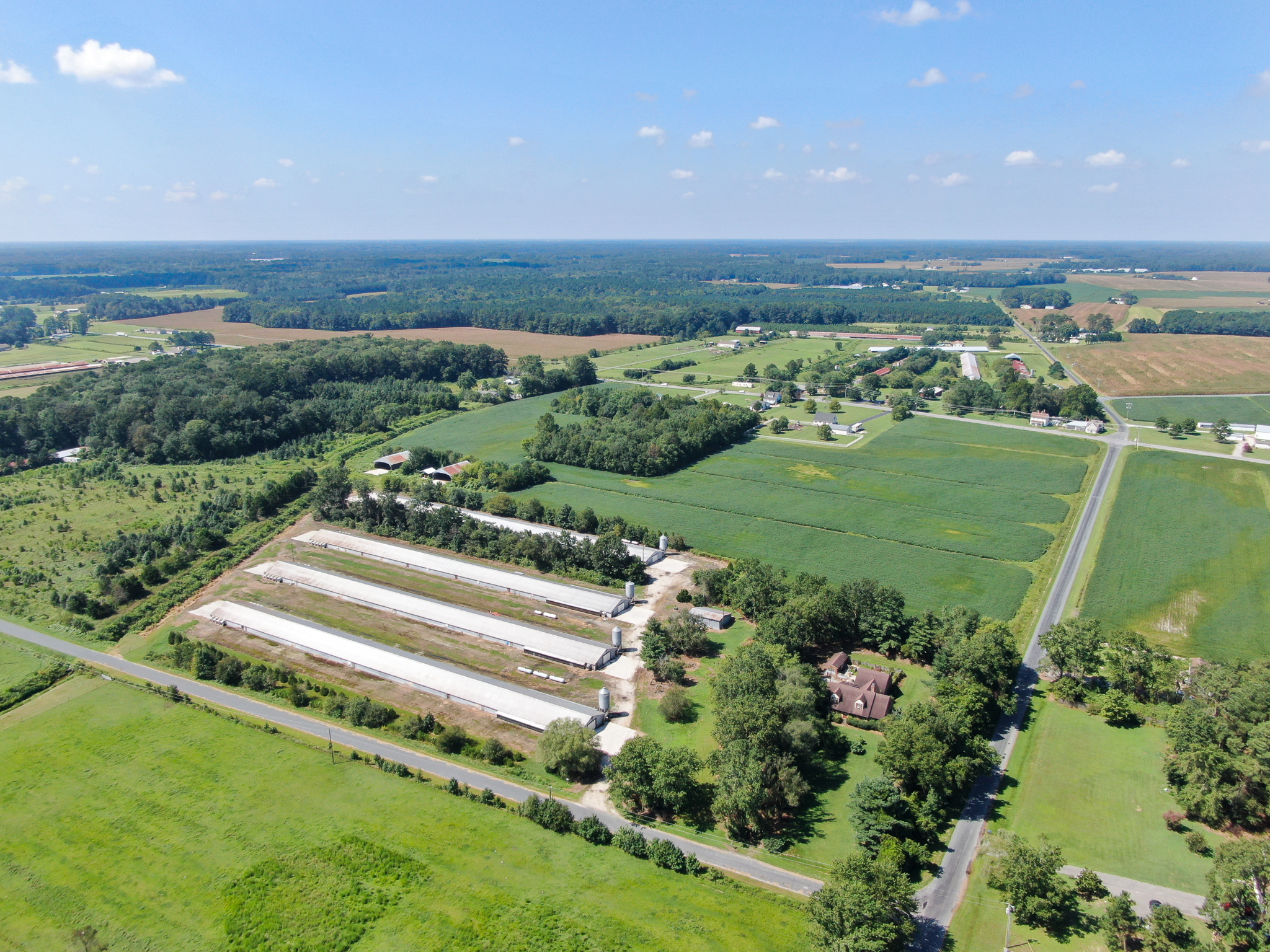 an aerial view of a large field with trees