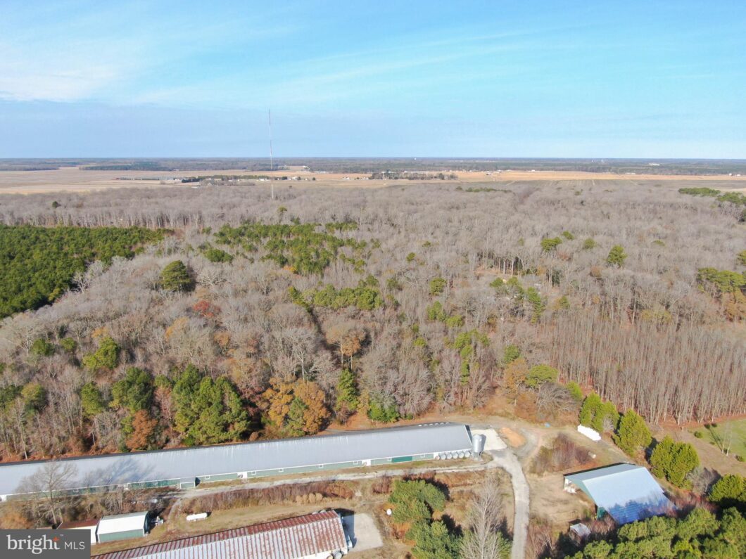 an aerial view of a farm in the middle of a forest