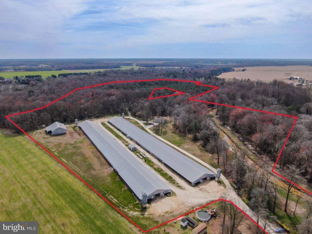an aerial view of a farm with lots of trees