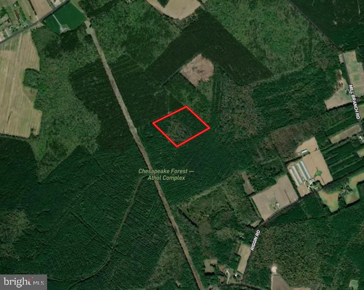 a red square is in the middle of a field