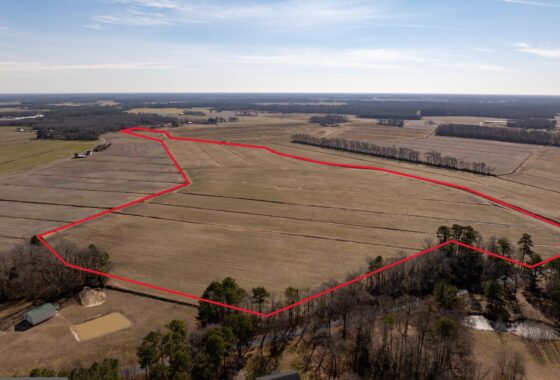 an aerial view of a large field with a red line on it