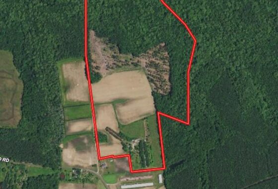 a map of a wooded area with a red line