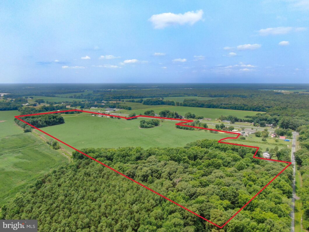 an aerial view of a wooded area with lots of trees
