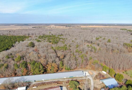 an aerial view of a farm in the middle of a forest