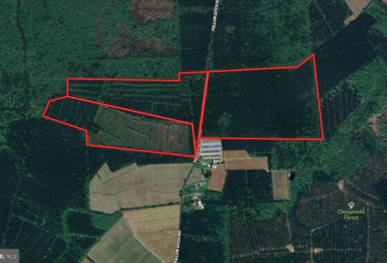 an aerial view of a field with a red line