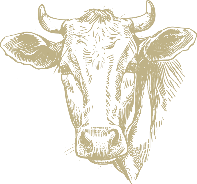 a drawing of a cow's head on a black background