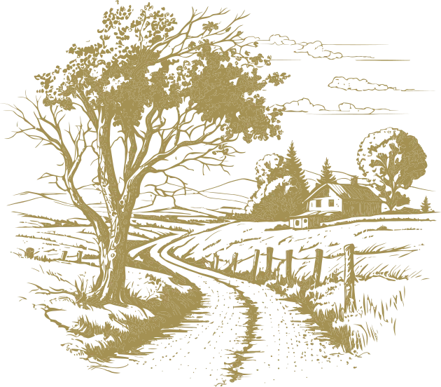 a drawing of a country road with a tree