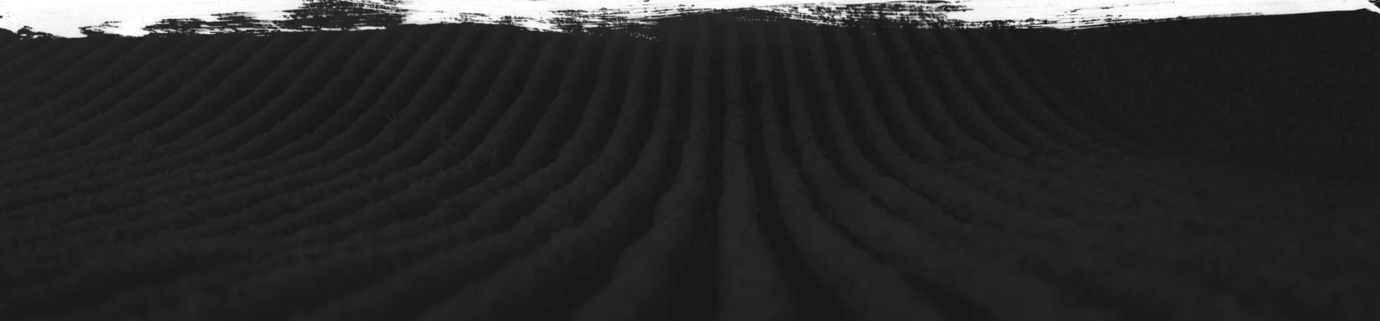 a black and white photo of a sand dune