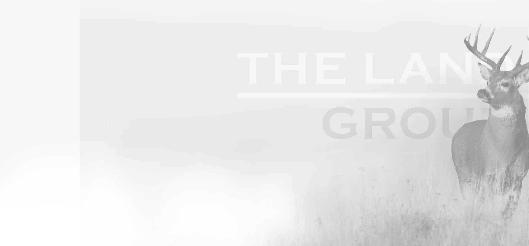a black and white photo of a deer in the fog